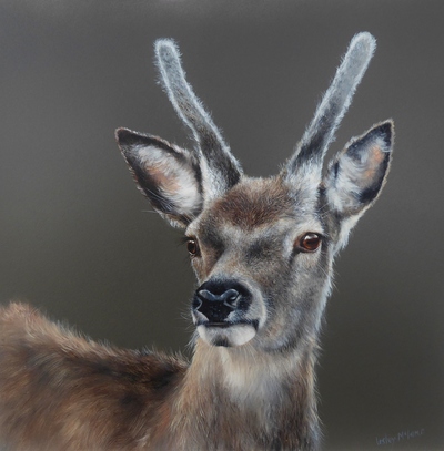 Lesley McLaren
Velvet Antlers
Oil on gesso panel  30 x 30 cms 
£495