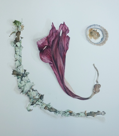 Marsha Burke
Poem #1
watercolour  60 x 60 cms
SOLD