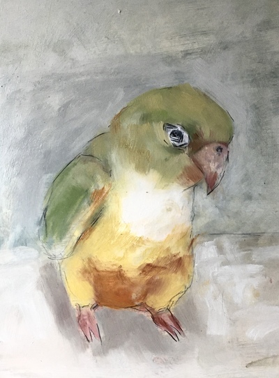 Joyce Gunn Cairns
Wee Parrot
Oil on board  29 x 21 cms
£325
SOLD