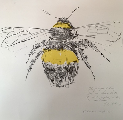 Joyce Gunn Cairns
The Pedigree of Honey
screenprint 1/5 40 x 55cms
£195
