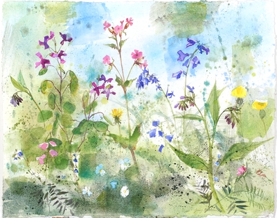 Jenny Matthews
Wild Hedgerow
Watercolour and mixed media 40 x 50 cms
£1250