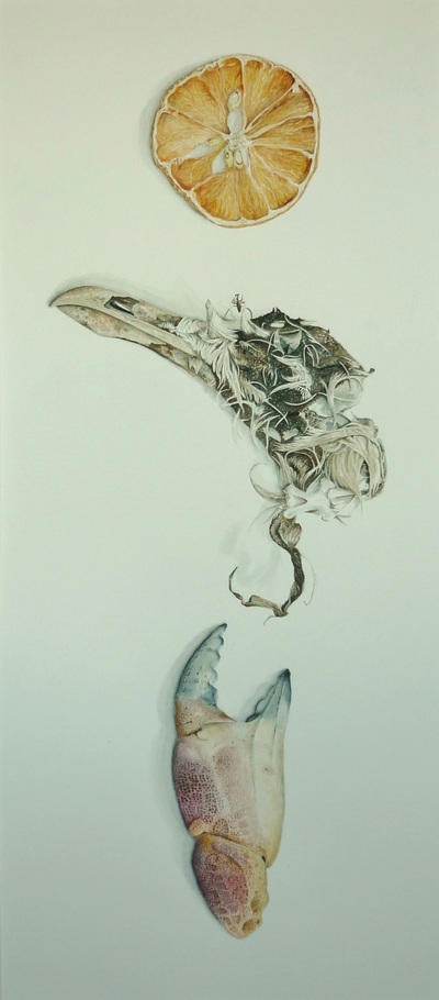 Marsha Burke
One Finger, One Thumb
watercolour  68 x 35 cms
£500