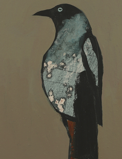 Jackdaw
acrylic on board
23 x 18 cms
SOLD