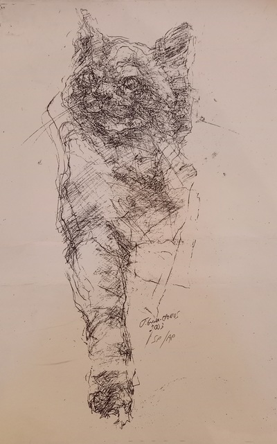 Joyce Gunn Cairns 
Wild Cat
Screen print (artist's proof) 30 x 25 cms
£295