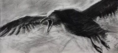 Erinclare Scrutton
Scouting
charcoal on paper 18 x 40 cm
£370