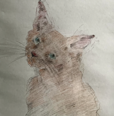 Joyce Gunn Cairns MBE
Red Puss
coloured pencil 42 x 35
£325