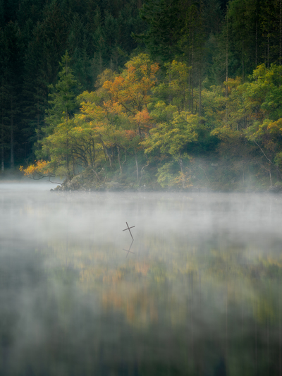 Helen's Rock, Loch Ard
Fotospeed NST Bright White
21 x 16 ins Edition 1/5
£440