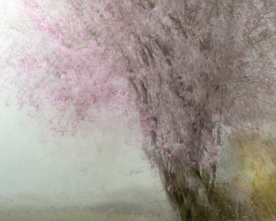 Dylan Nardini
First Colour
Fotospeed Cotton Etching textured 305g
38 x 47 cm Edition 2/10
£375
