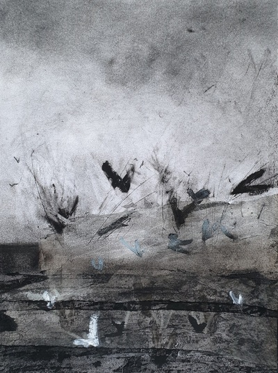 Feeding Frenzy
Charcoal on Paper 37 x 27 cm
£420
