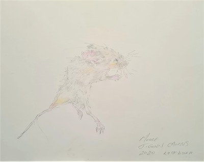 Mouse
pencil  20 x 25 cms
£125 (unframed)

