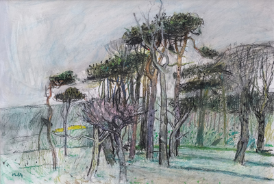 Pines, Ashin Yards
charcoal and pastel  46 x 67 cm
£1100