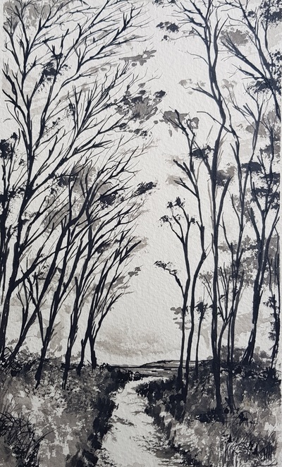 Naomi Rae
Through the Trees, Onto the Beach, Brodick, Isle of Arran
Indian ink on paper  25 x 15 cms
£215
SOLD