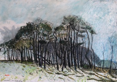 Plantation, White Gates
pastel on paper 52 x 74 cm
£1200