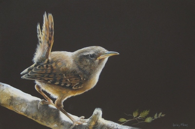 Lesley MacLaren
Inquisitive Wren
Oil on gesso panel  15 x 22 cms
£300
SOLD