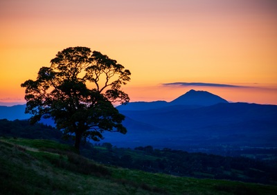 Jamie Ballantine
Ben Lomond and Tree
Photograph on canvas  60 x 90 cms
£290