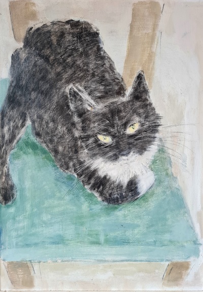 Joyce Gunn Cairns MBE
Cat on a Blue Chair
Oil on board  50 x 36 cms 
£650