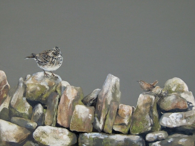 Lesley McLaren
Skylark and Wren
Oil on board  23 x 30 cms
SOLD
