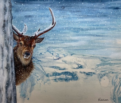Susan Hutchison
The Winter Visitor 
Oil on prepared paper 15 x 20 cms 
£495