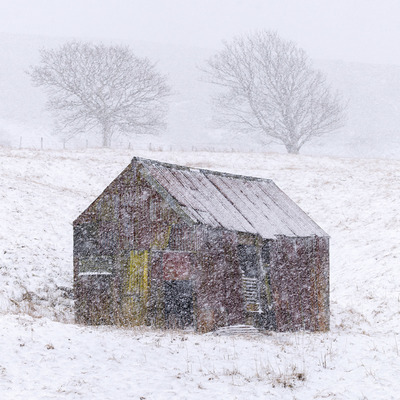 Shelter
Fotospeed Cotton Etching 305g
15 x 15 ins Edition 1/10  
£350