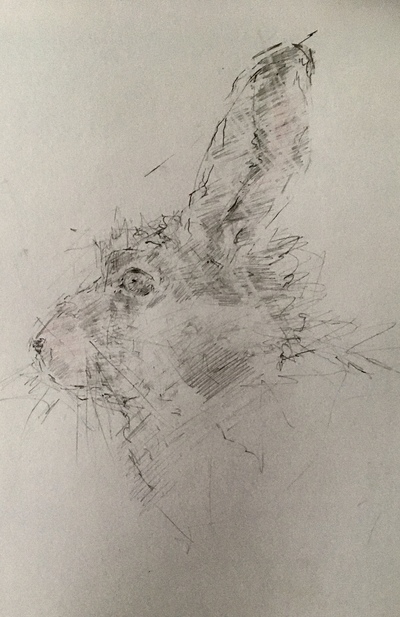 Joyce Gunn Cairns
Hare
Pencil  
£205