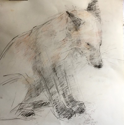 Joyce Gunn Cairns
Fox
Pencil  60 x 42 cms
£275 (unframed)