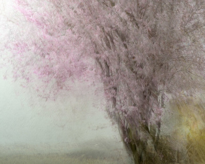 First Colour
Fotospeed Cotton Etching 305g
18.5 x 15 ins Edition 1/10  
£375
SOLD