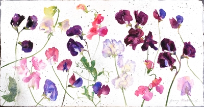 Jenny Matthews
My Sweet Peas
Watercolour  21 x 41 cms
£730
SOLD