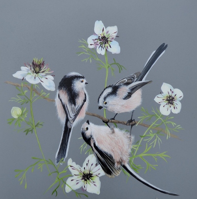 Long Tailed Tits on Love In a Mist 
Oil on panel  25 x 25 cms
SOLD