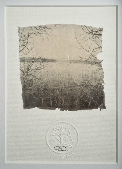 Dylan Nardini	
Reaching for Dreams
Polaroid on textured watercolour 300g
21 x 15 cm 1 of 1
£150
SOLD