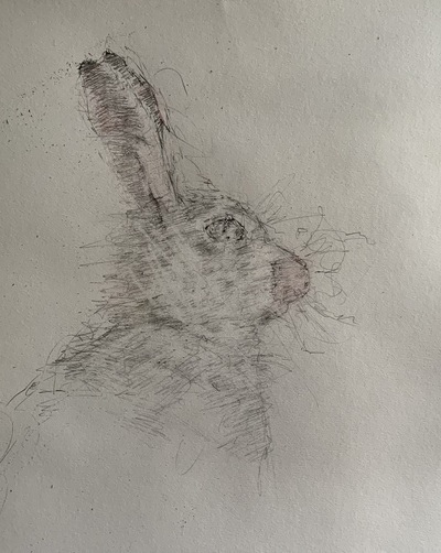 Joyce Gunn Cairns
On the Alert 
pencil and coloured pencil 40 x 30 cm
£280
