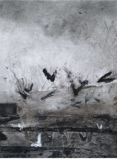 Erinclare Scrutton
Feeding Frenzy
charcoal on paper 27 x 37 cm
SOLD