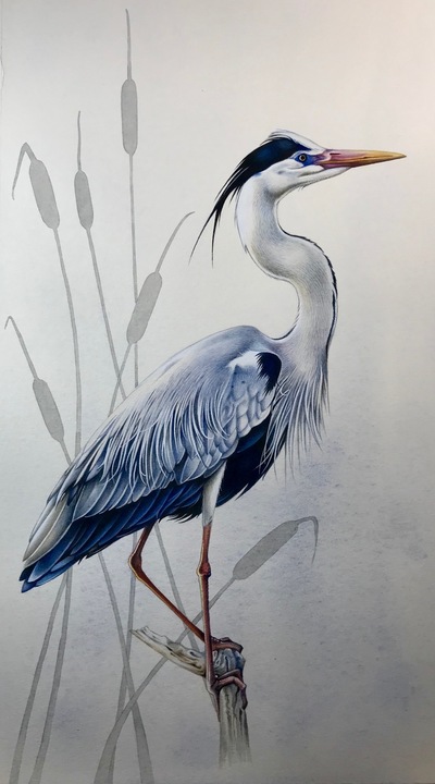 Susan Hutchison 
Attitude
watercolour  34 x 20 cms
£495