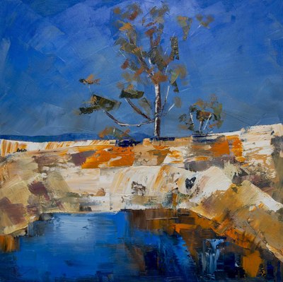 Scots Pine, Tentsmuir Forest
oil on canvas  50 x 50 cm
£1350