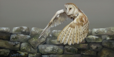Lesley McLaren 
Taking Flight 
Oil on gesso board  15 x 30 cms
£400 (unframed)
