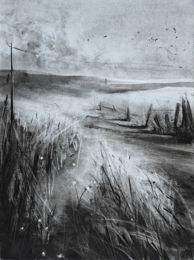 Erinclare Scrutton
Distance Watching
charcoal on paper 51 x 37 cm
£450