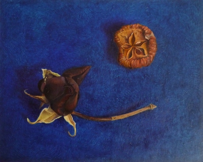 Marsha Burke
Darklight
Oil  16 x 19 cms
£200