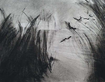 Erinclare Scrutton
Finding a Way
charcoal on paper 38 x 29 cm
£440